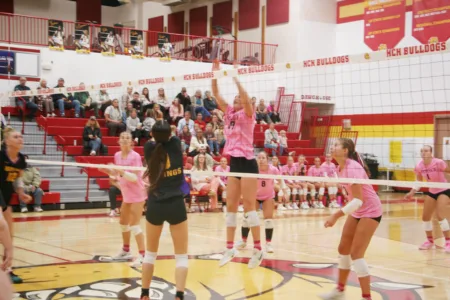 Bulldogs volleyball sinks Vikings in three